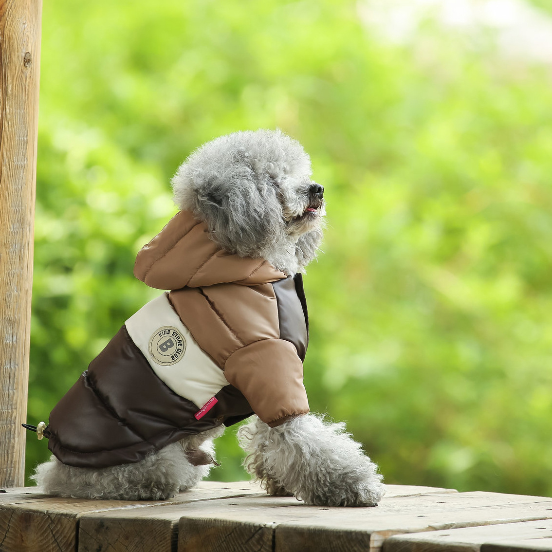 Gilet per animali domestici Fo - Winter Clothing Options recensione e prezzo