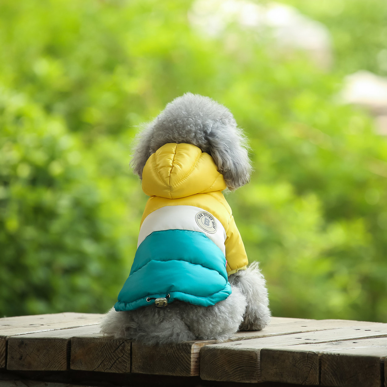 Gilet per animali domestici Fo - Winter Clothing Options recensione e prezzo