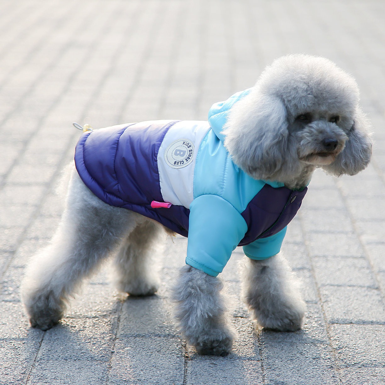 Gilet per animali domestici Fo - Winter Clothing Options recensione e prezzo